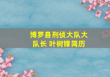 博罗县刑侦大队大队长 叶树锋简历